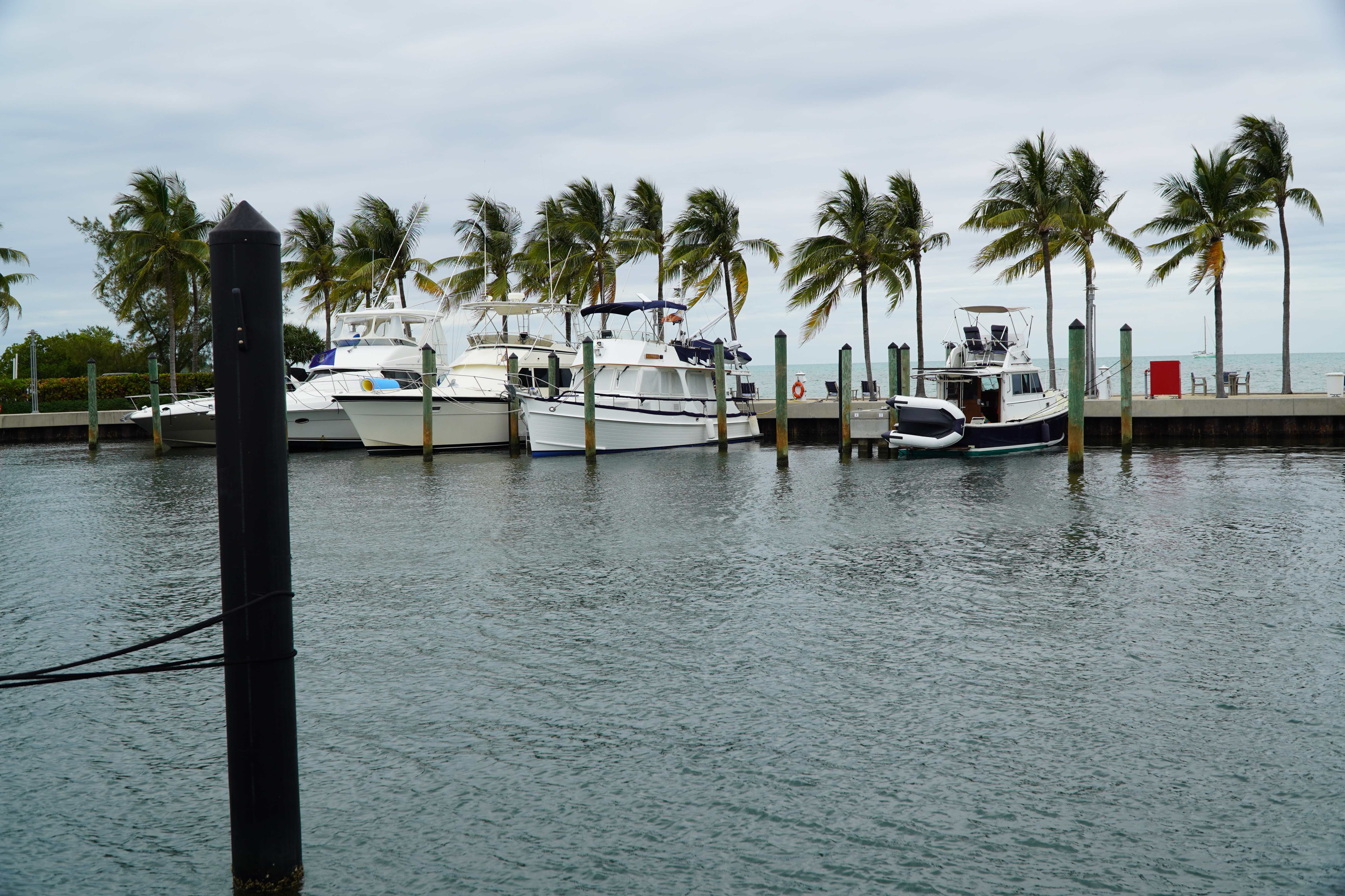 Marina with multiple boats